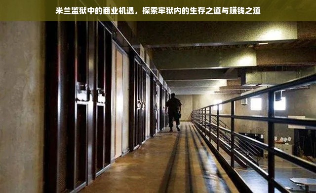 申基医药品牌，品质卓越，创新未来