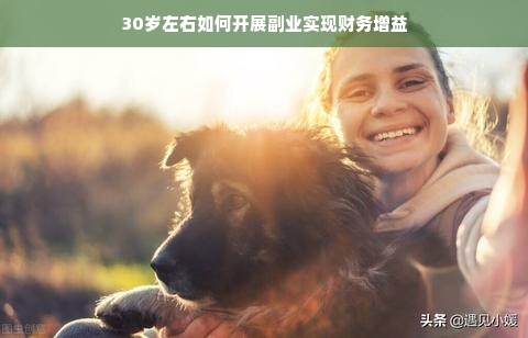 30岁左右如何开展副业实现财务增益