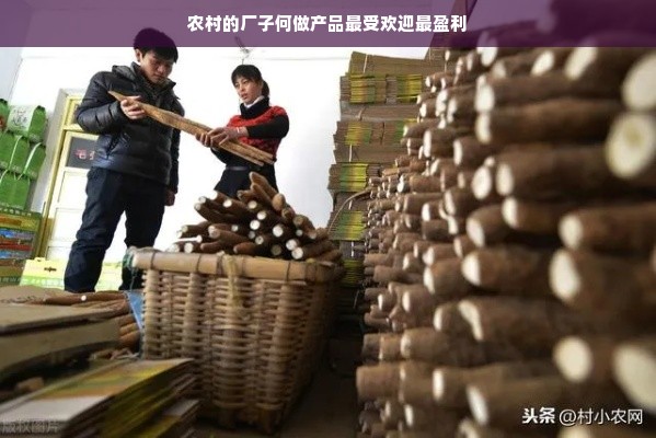 农村的厂子何做产品最受欢迎最盈利