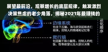 鹿优选先享卡额度兑现，鹿优选怎么开通高额度？