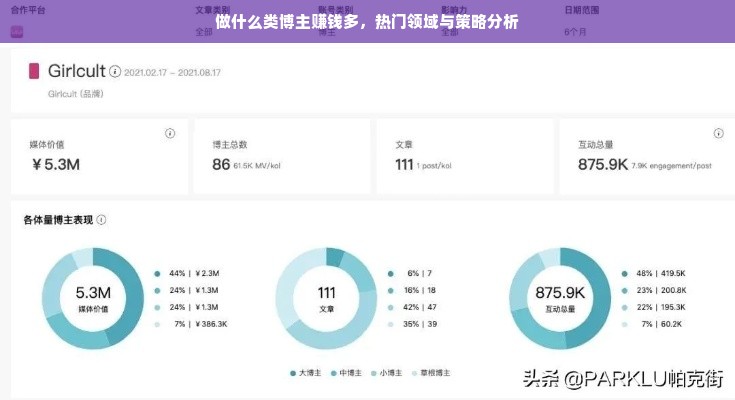做什么类博主赚钱多，热门领域与策略分析