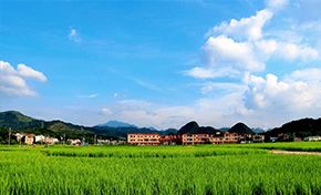 医药品牌账号运营手册，从零到一，打造强势品牌