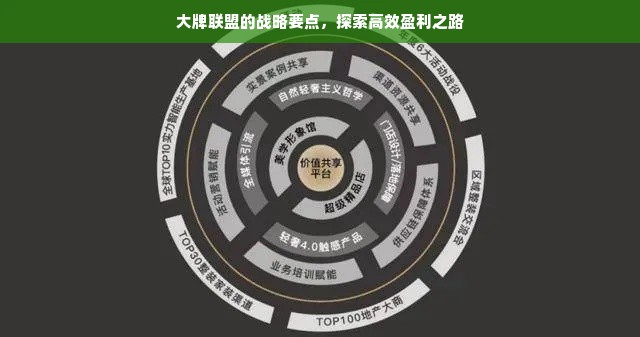 大牌联盟的战略要点，探索高效盈利之路
