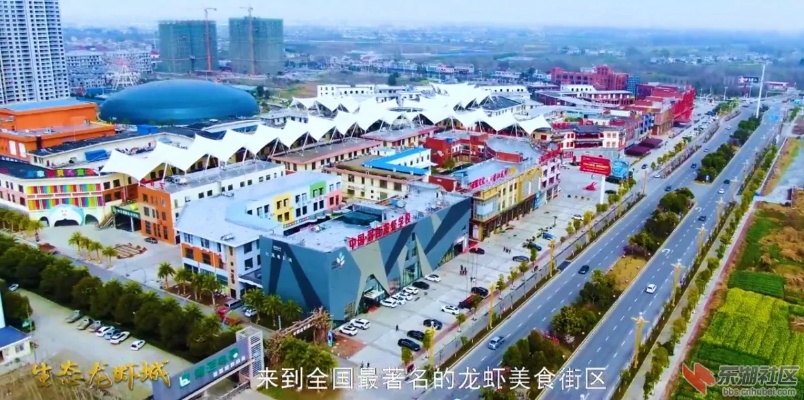 在洋市镇，把握商机，走向成功的商业之路