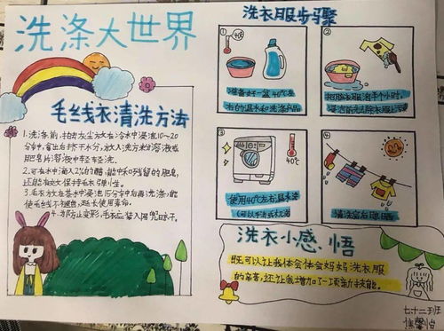 校园探索与实践，学生摆摊如何实现创收成长之旅