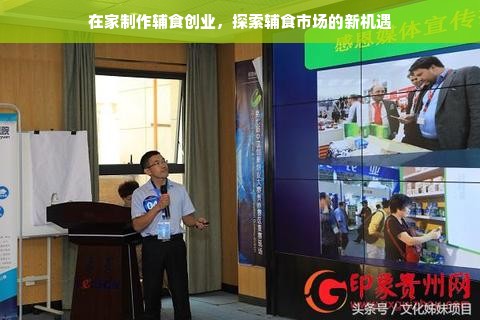 在家制作辅食创业，探索辅食市场的新机遇