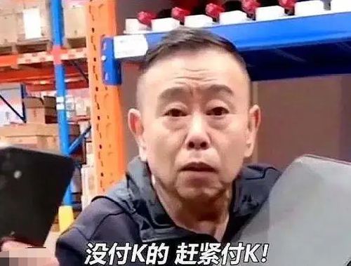 灾情过后，把握机遇，快速赚钱的策略与行动指南