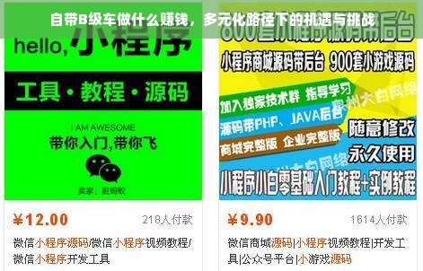 自带B级车做什么赚钱，多元化路径下的机遇与挑战