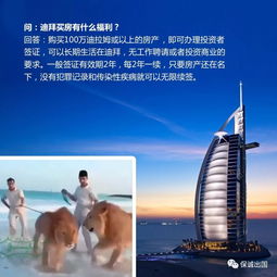解密迪拜商业风云，捕捉未来成功行业的最新机会与展望