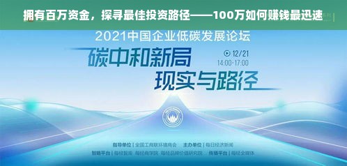 拥有百万资金，探寻最佳投资路径——100万如何赚钱最迅速