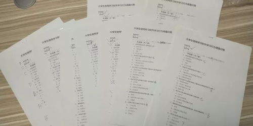 在网络时代，做什么赚钱，无限可能的探索与机遇