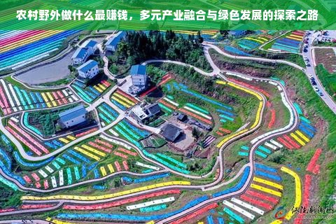 农村野外做什么最赚钱，多元产业融合与绿色发展的探索之路