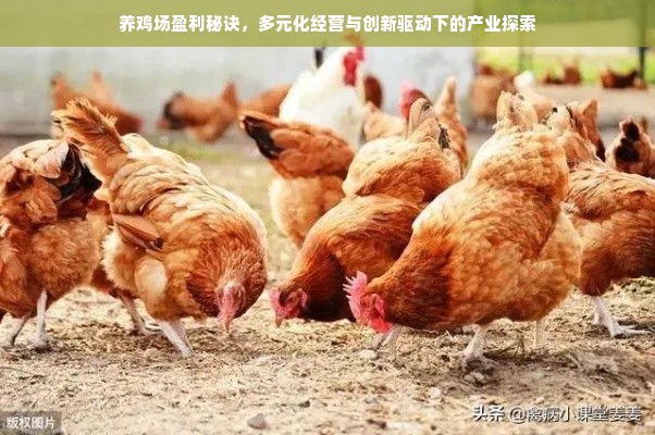 新乡白条兑现中心位置揭秘，你想知道的全都在这里