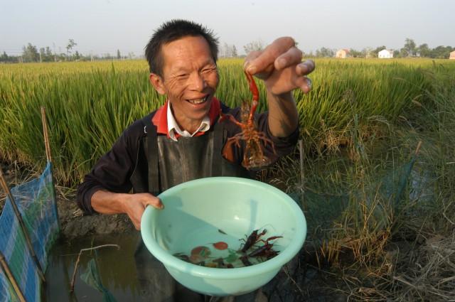 当今在农村做什么最赚钱