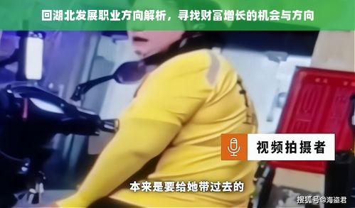 回湖北发展职业方向解析，寻找财富增长的机会与方向