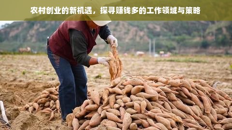 农村创业的新机遇，探寻赚钱多的工作领域与策略