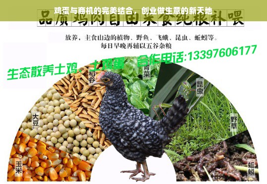 境外白条账户提现额度 揭秘境外白条账户提现额度，额度多少？怎么用？案例分析！