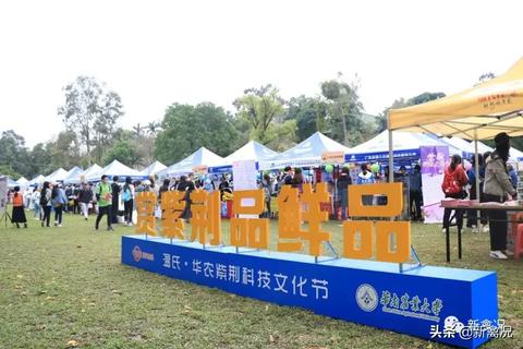 养猪大户的财富密码，多元化经营与创新驱动下的盈利之道