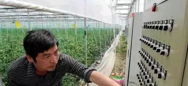 农民做什么赚钱渠道靠谱，多元化农业经营与农村新经济的探索
