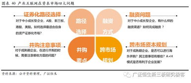 平沙地区的主要盈利方式与产业趋势探析