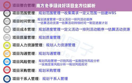 南方冬季赚钱好项目全方位解析