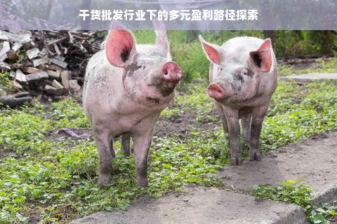 干货批发行业下的多元盈利路径探索