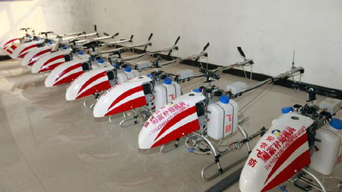 喝奶白酒真的能丰胸吗？这8大品牌实测+避坑指南全解析