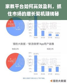 家教平台如何高效盈利，抓住市场的增长契机赚钱秘诀解析