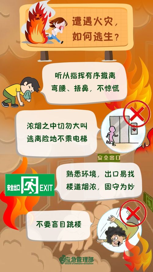 线上开学，多元赚钱之路的探索与实践