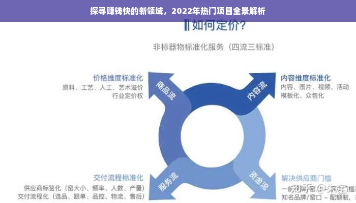 探寻赚钱快的新领域，2022年热门项目全景解析
