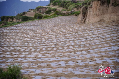 医药品牌故事，探寻生命之光，共筑健康未来