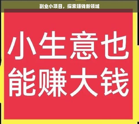 副业小项目，探索赚钱新领域