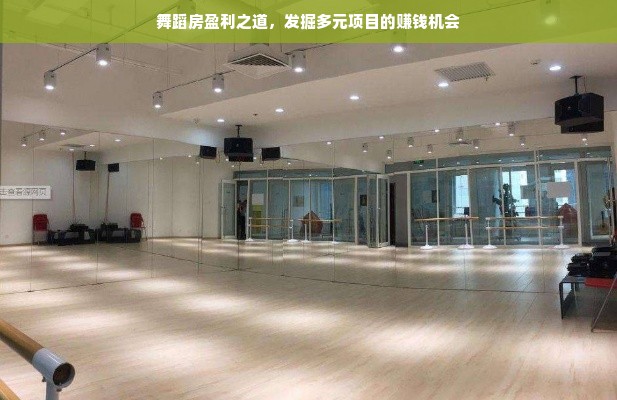 舞蹈房盈利之道，发掘多元项目的赚钱机会