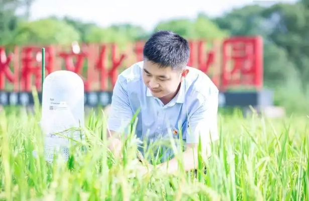 回乡新动力，95后返乡创业的机遇与挑战