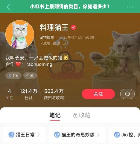 小红书上最赚钱的类目，你知道多少？