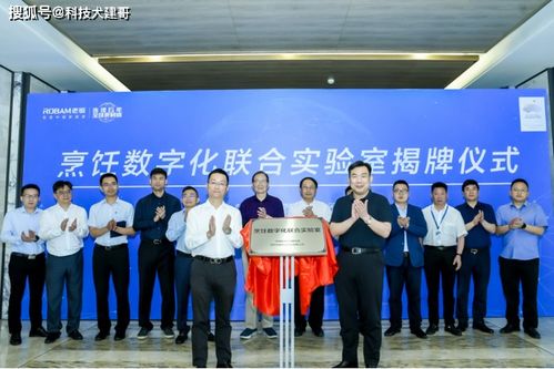 京东白条额度怎么提升？混合支付是捷径吗？看完这篇你就懂了！