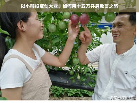 中国小家电品牌，品质与创新的双翼飞翔
