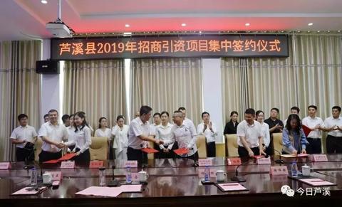 综合市场内最赚钱的黄金点，创新与品质的双赢策略