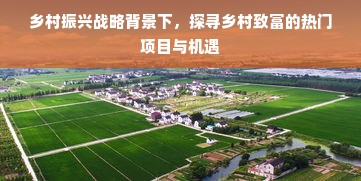 乡村振兴战略背景下，探寻乡村致富的热门项目与机遇