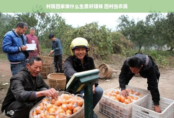 村民回家做什么生意好赚钱 回村当农民