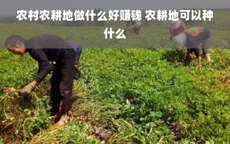 农村农耕地做什么好赚钱 农耕地可以种什么