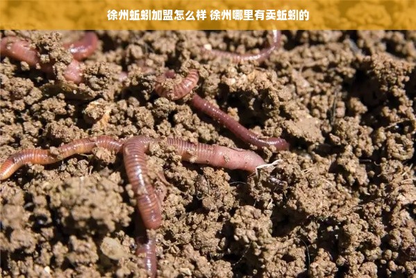 走进口服医药品牌的世界，探索、理解与选择