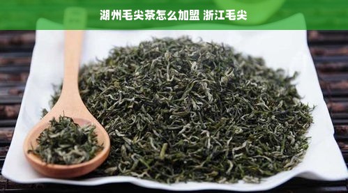 湖州毛尖茶怎么加盟 浙江毛尖