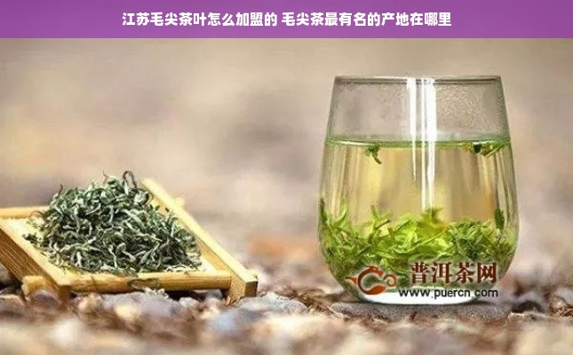 羊小咩便荔卡九号，提额与提现全攻略