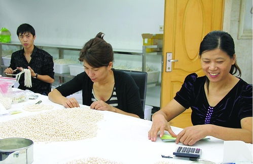 揭秘中国十大民族医药品牌，传承与创新的力量
