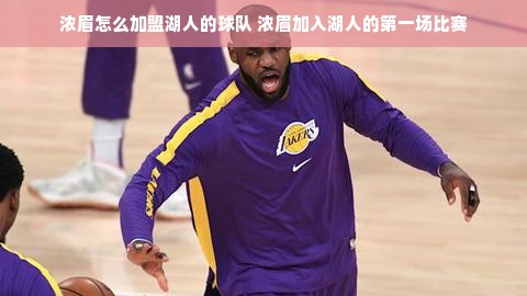 高端母婴服装店品牌定位策略，打造独特竞争优势