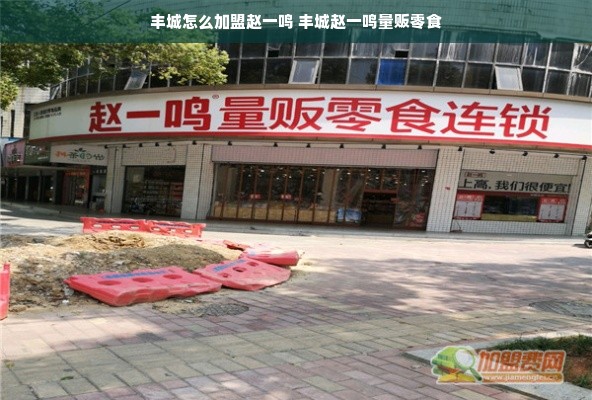 丰城怎么加盟赵一鸣 丰城赵一鸣量贩零食