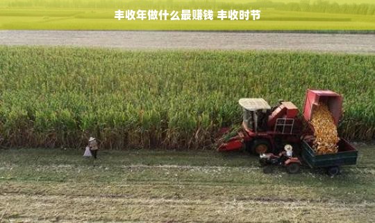 丰收年做什么最赚钱 丰收时节