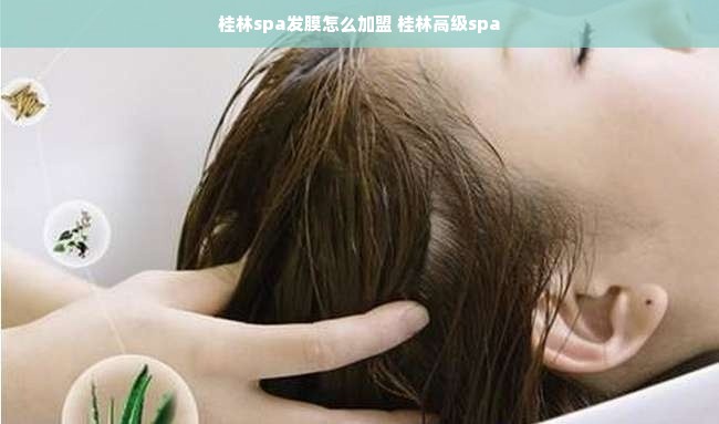 九阳家电品牌，品质与创新共舞