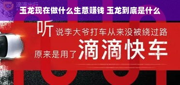 九阳家电品牌，品质与创新共舞